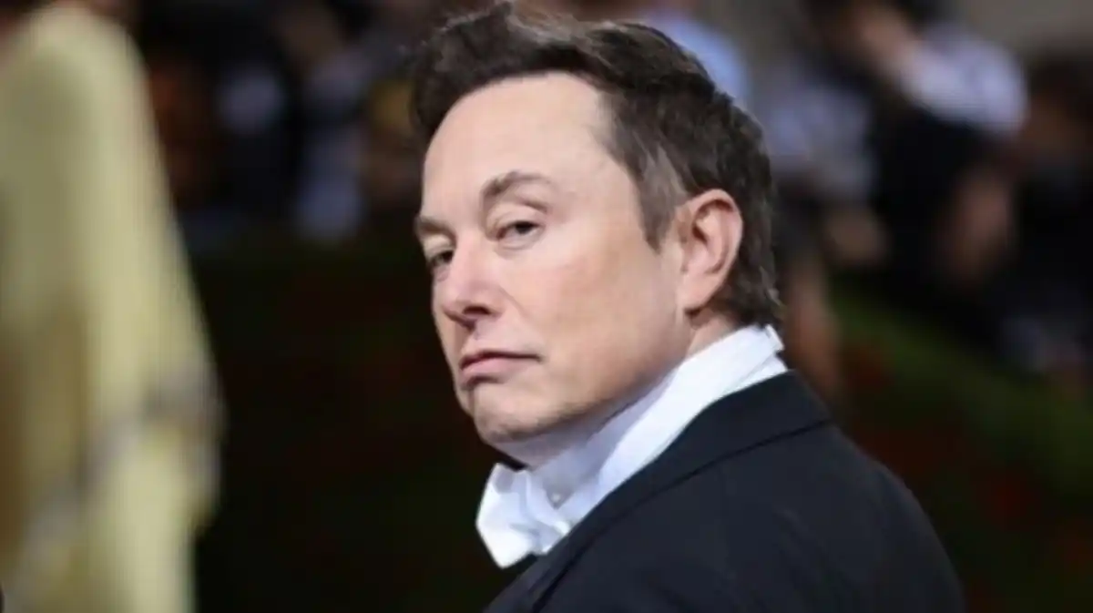 Elon Musk advierte a estadounidenses del peligro de los migrantes: «Vendrán por sus casas»