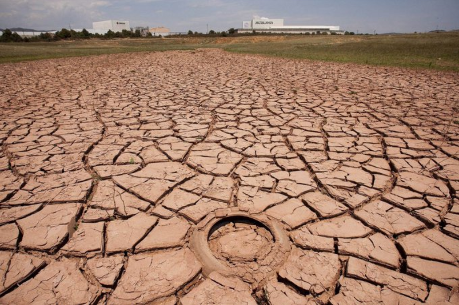 Nación prorrogó hasta fines de septiembre la Emergencia Agropecuaria