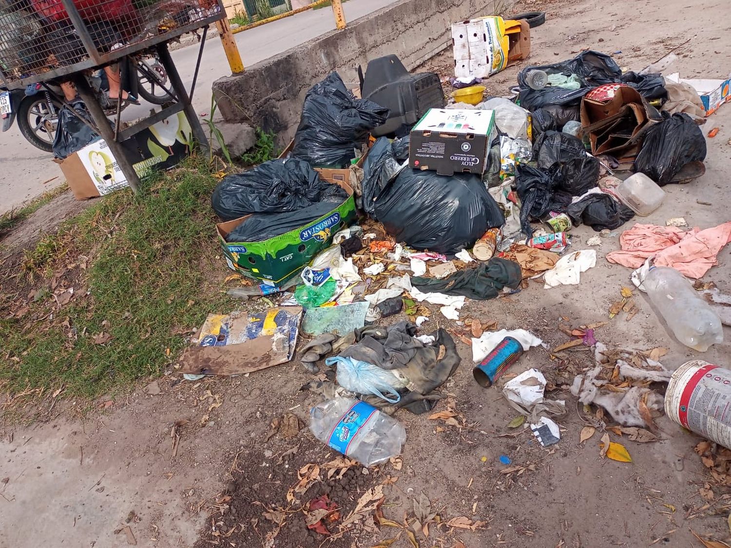 basura suelta barrio italia - 1