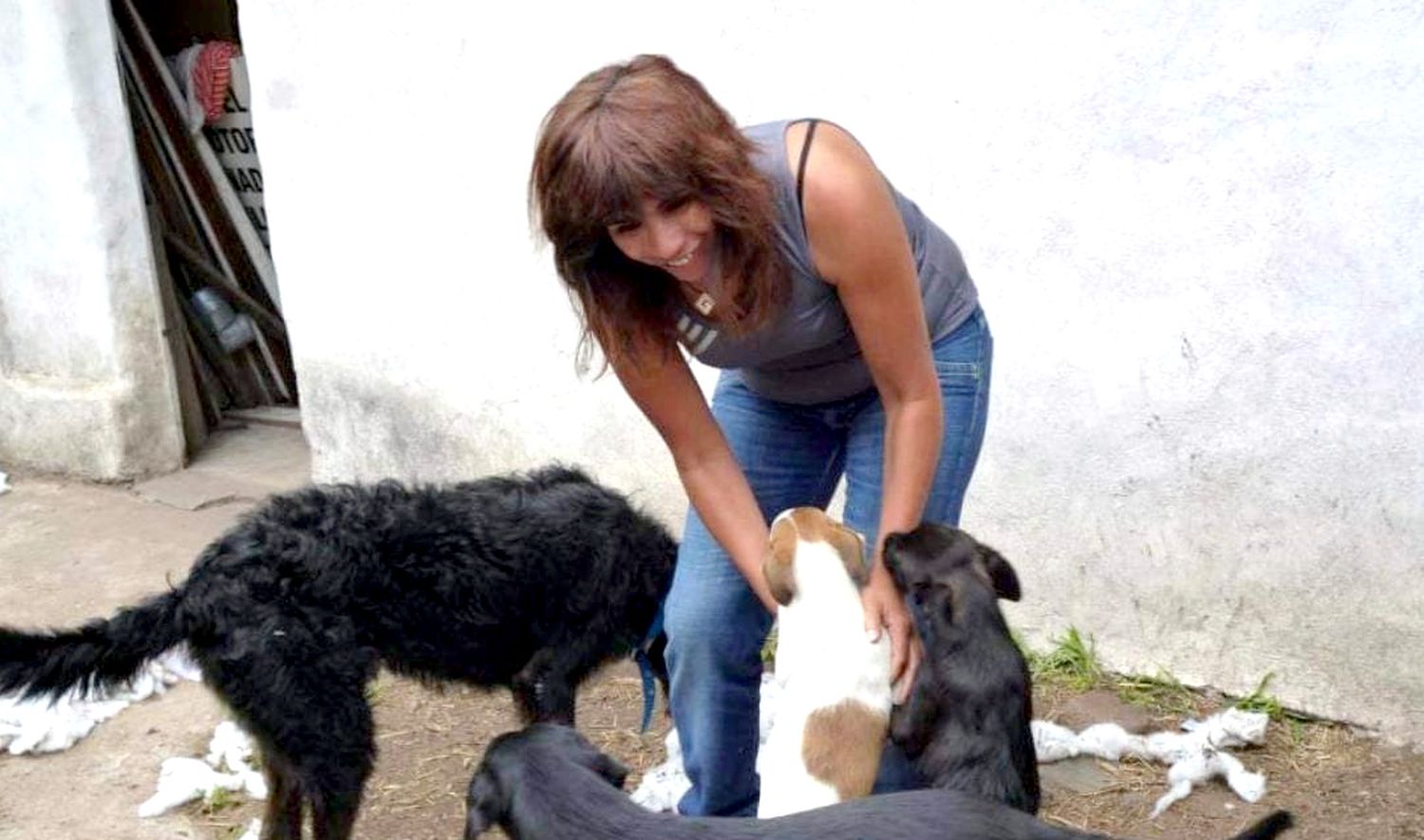 En plena acción. La proteccionista junto a sus mascotas brindando amor y atención
