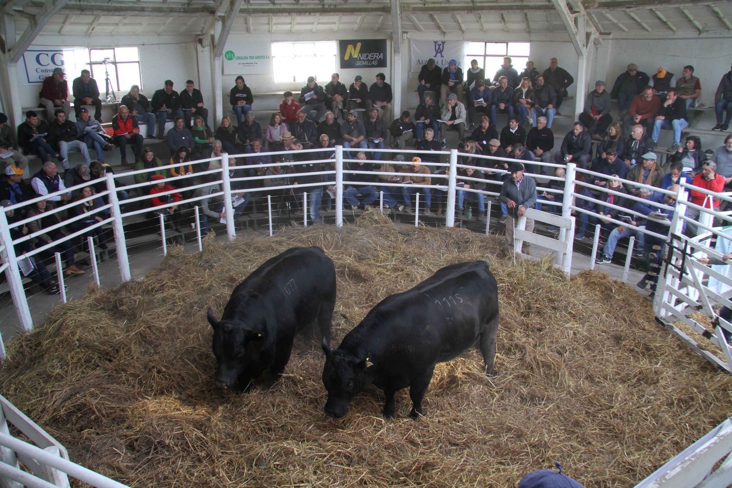 La Leopoldina y San Patricio tuvieron un remate cargado de realidad