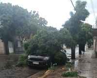Los destrozos que dejó el inesperado temporal en Tandil