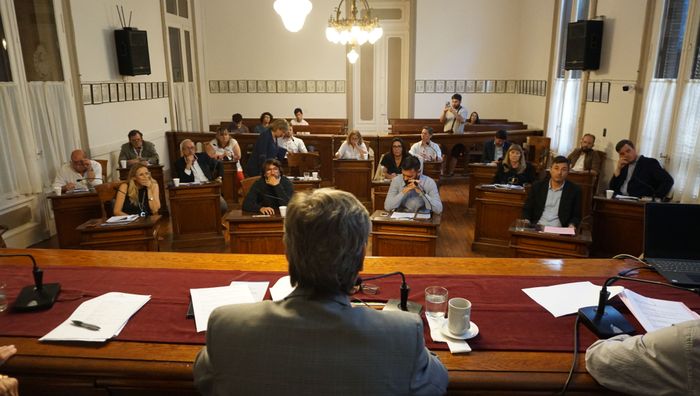 El Concejo convalidó la designación de autoridades para la Usina