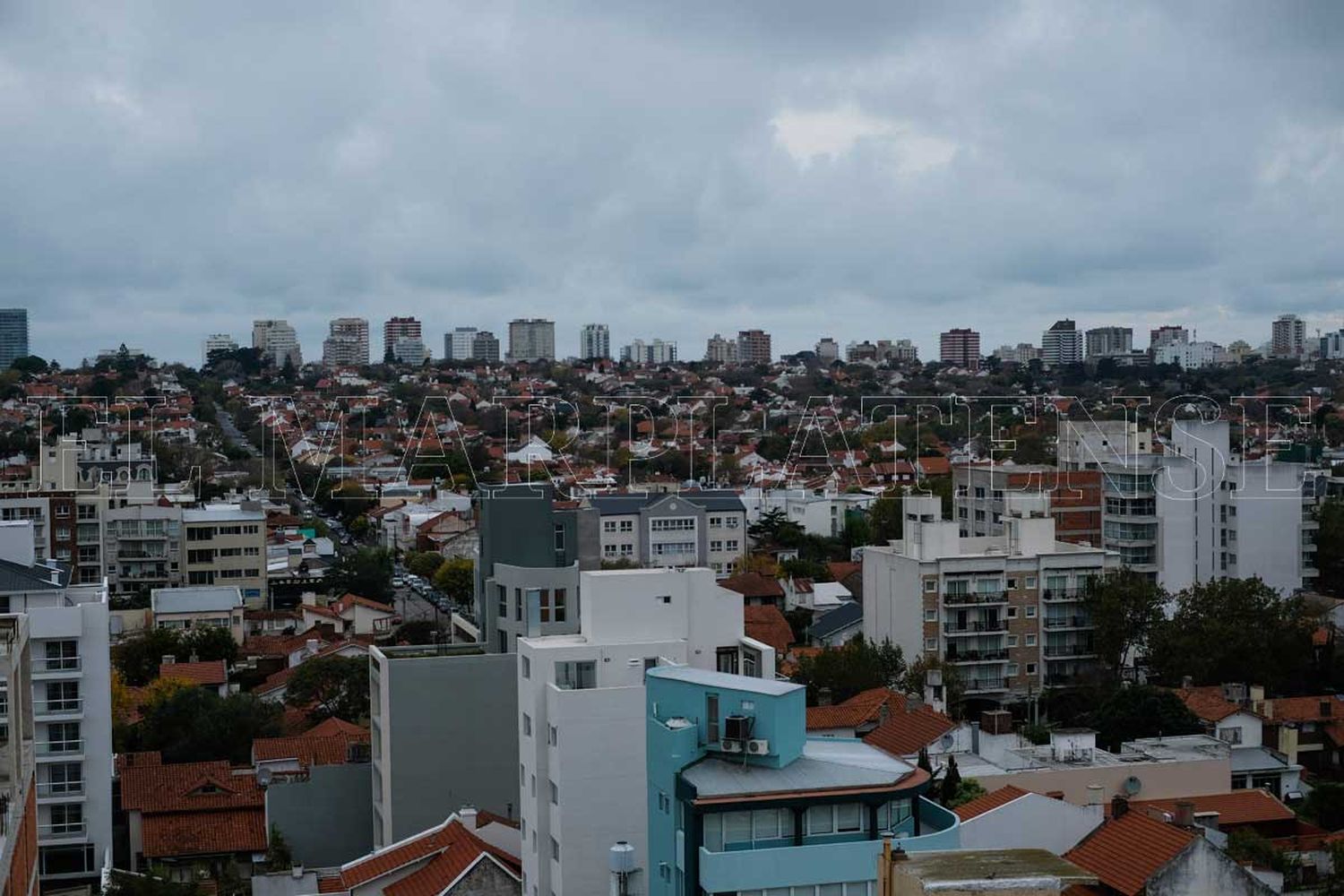Violencia en Mar del Plata: "La ciudad está partida en dos"