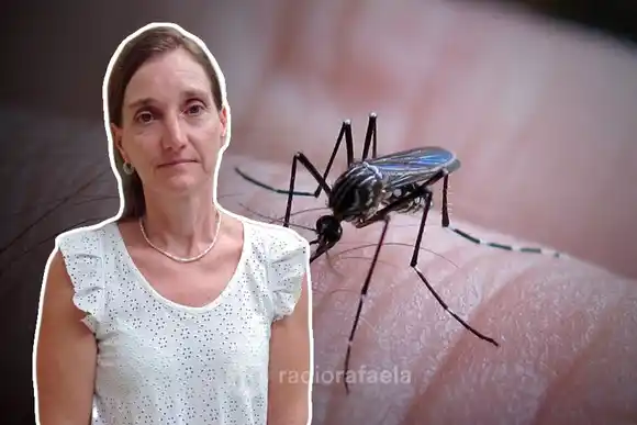 Gran brote de casos de Dengue en la ciudad