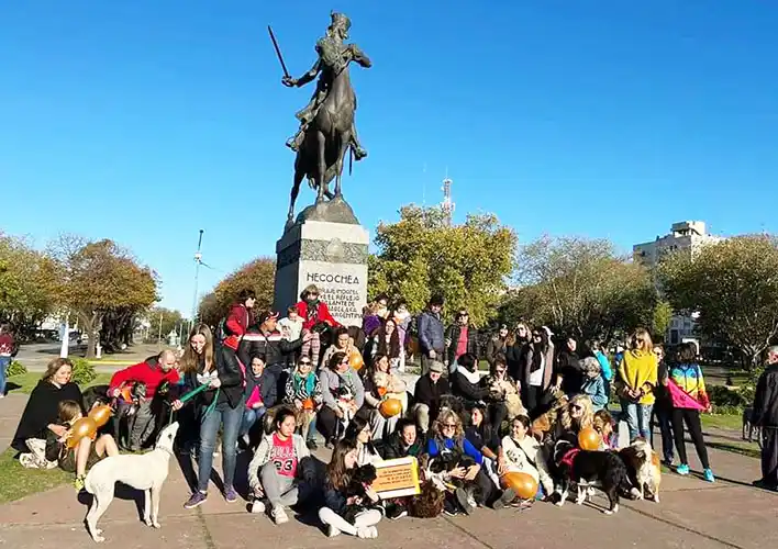 Reclamo por castraciones