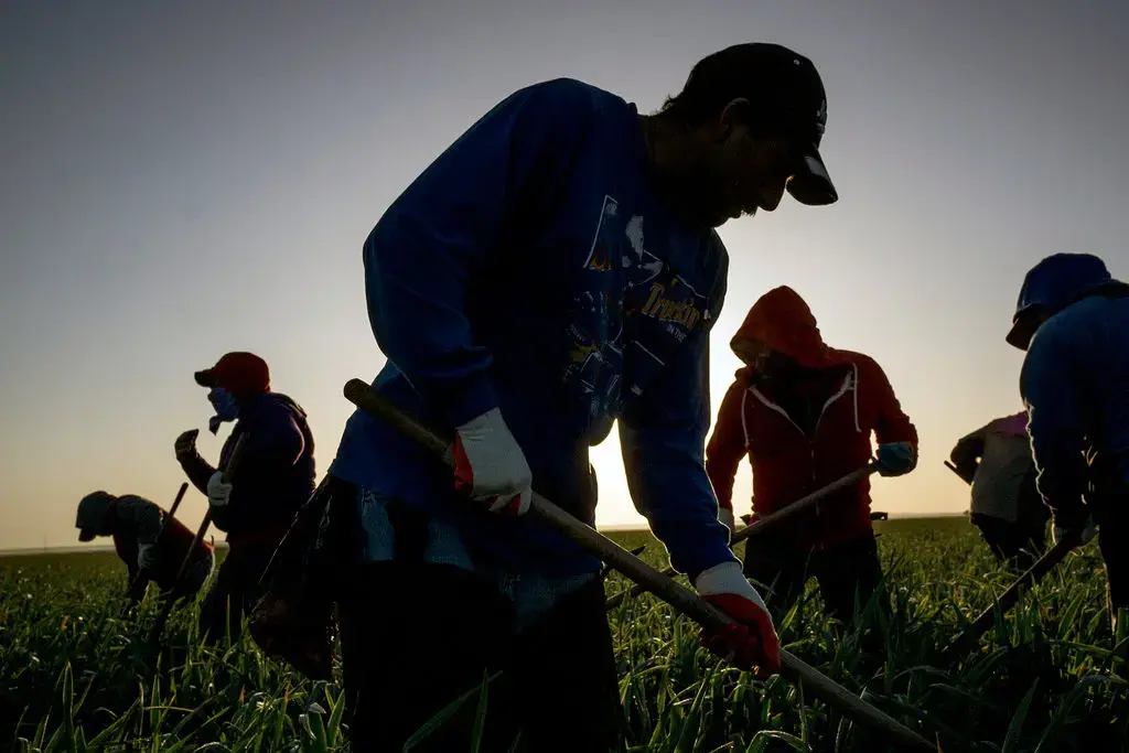Si los MIGRANTES dejaran de trabajar «sería absolutamente cataclísmico» para la economía de EE.UU.