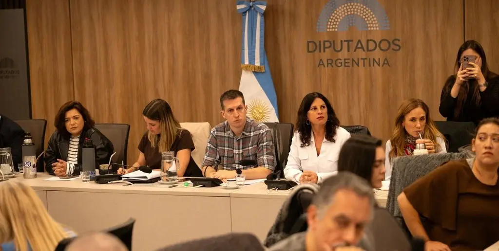 La comisión de Discapacidad de Diputados escuchó a referentes del sector, quienes denunciaron una crisis en las prestaciones, reclamaron la Emergencia y cuestionaron el nuevo proyecto del Ejecutivo.