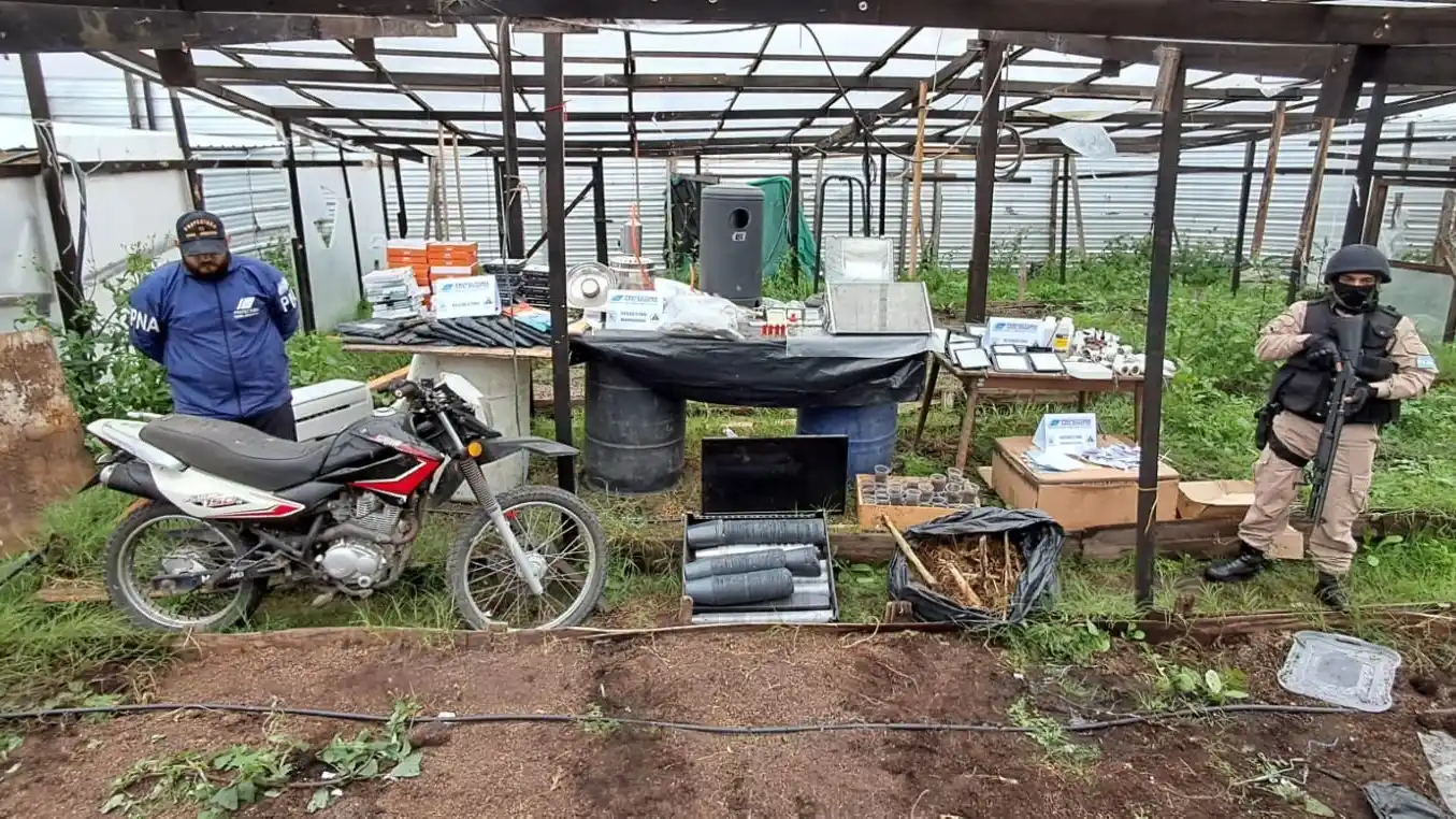 Procedieron al secuestro de más de 800 gramos de estupefacientes y 106 plantas ilegales.