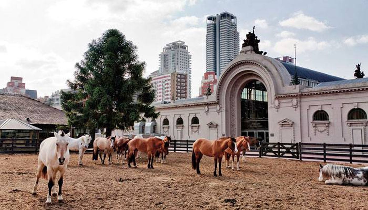 Por el coronavirus, la Rural  no se hará en las vacaciones de invierno