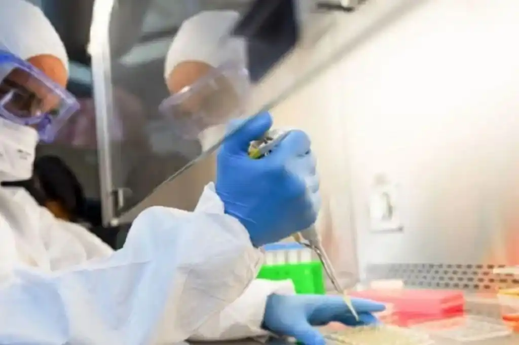 Variante Epsilon: la nueva cepa del Covid que ya tuvo casos en Argentina