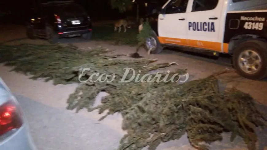 Hallaron droga y un arma de fuego durante un allanamiento