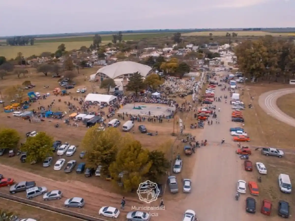 Jornada sobre "ganadería circular", la antesala de la gran fiesta en Alicia   