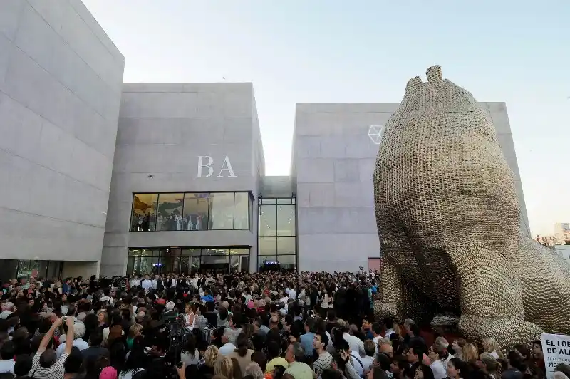 Museo MAR: Propuestas para el verano