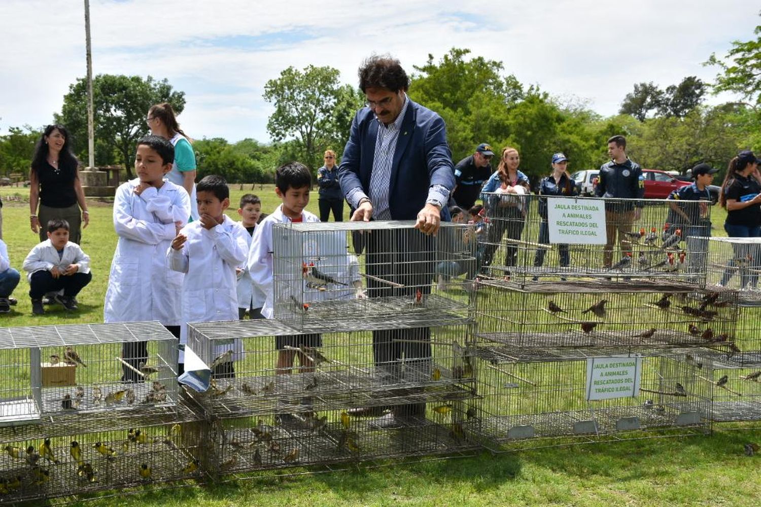Liberan a 600 aves silvestres que iban a ser destinadas al mascotismo