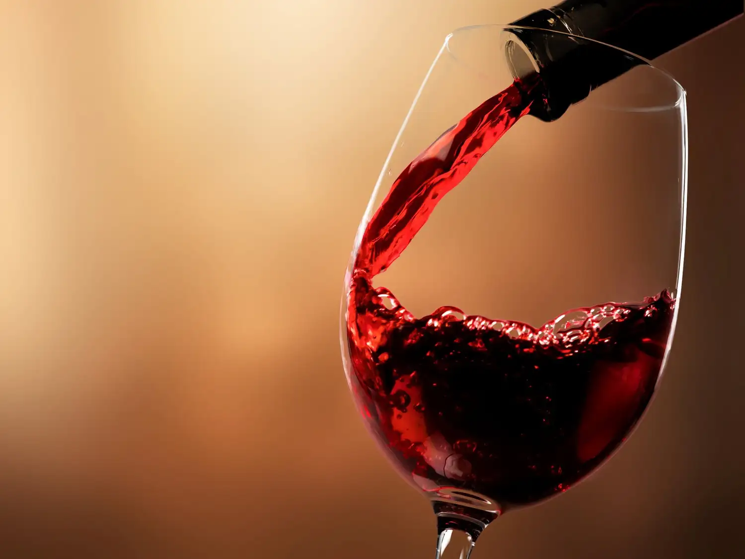 Día Mundial del Malbec.