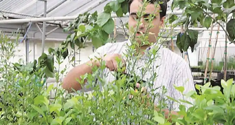 Jornada de capacitación sobre la producción de cítricos bajo cubierta