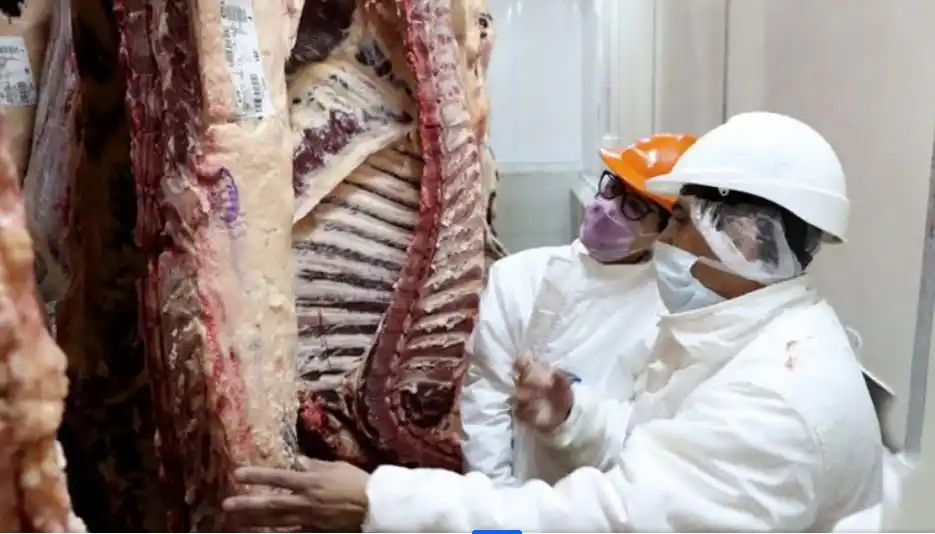 Estiman que el precio de la carne continuará por debajo de la inflación