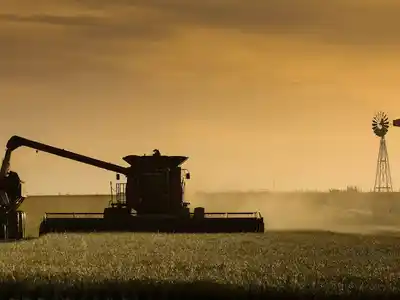 El Gobierno elimina las retenciones a las exportaciones de granos hasta el 31 de octubre