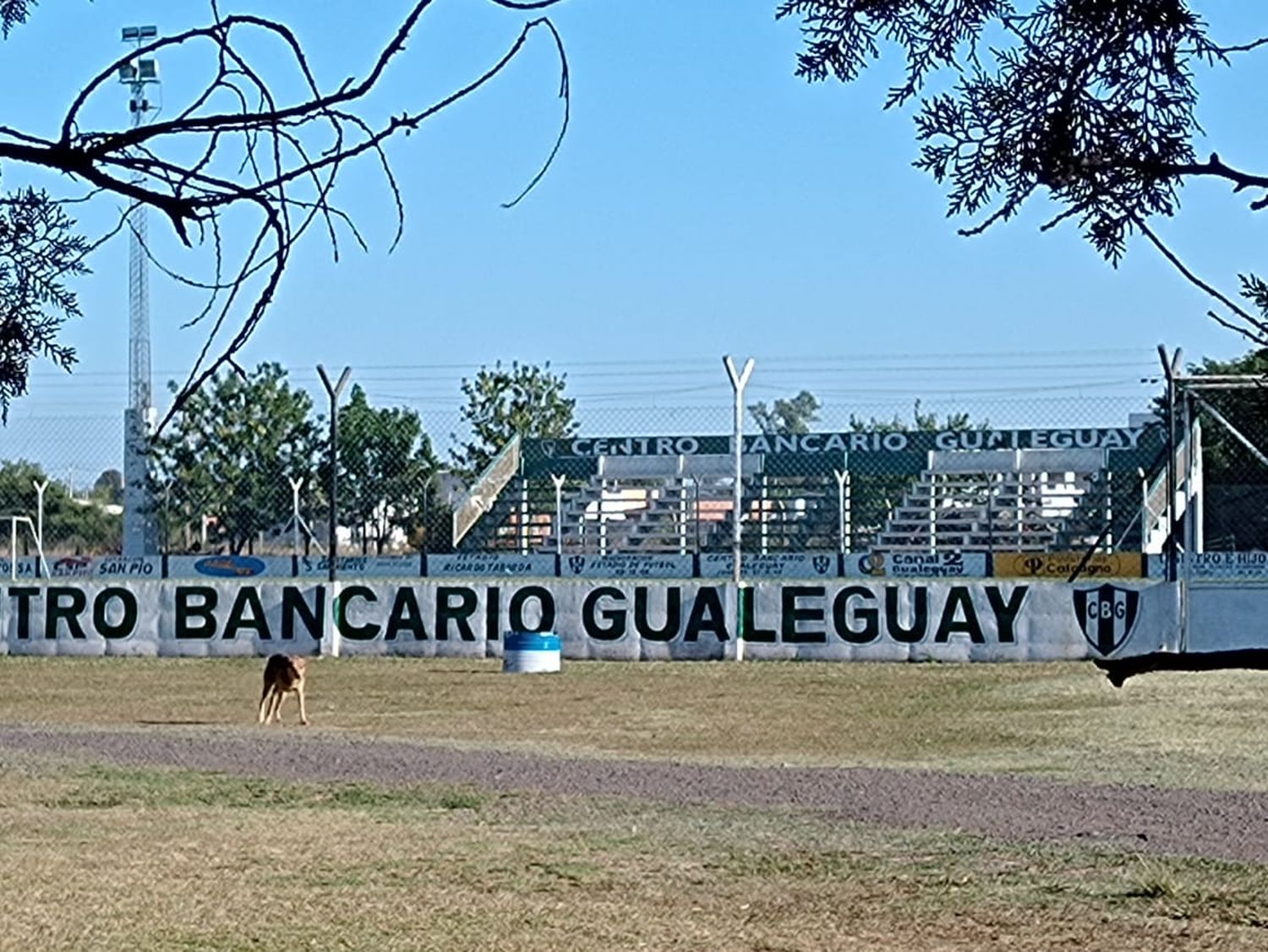 Bancario 3