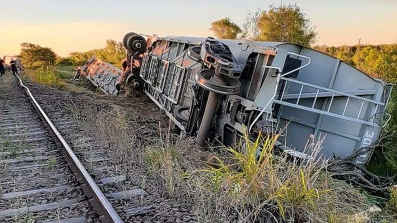 Descarriló un tren con 15 vagones de cosecha