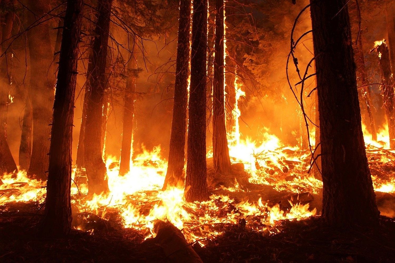 El cambio climático existe y se paga con vidas y dinero