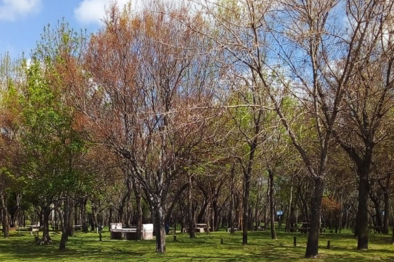 El Municipio licitó el servicio de cantina de Parque del Sol