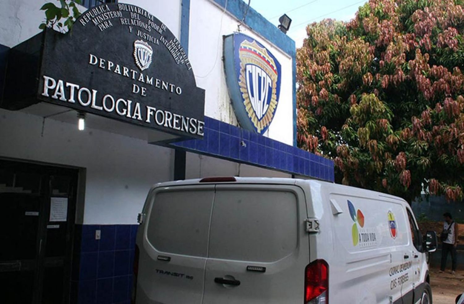 Lo MATARON a tiros en una piscina y luego lanzaron su cadáver a una zona boscosa