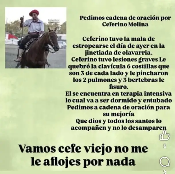 Cefe