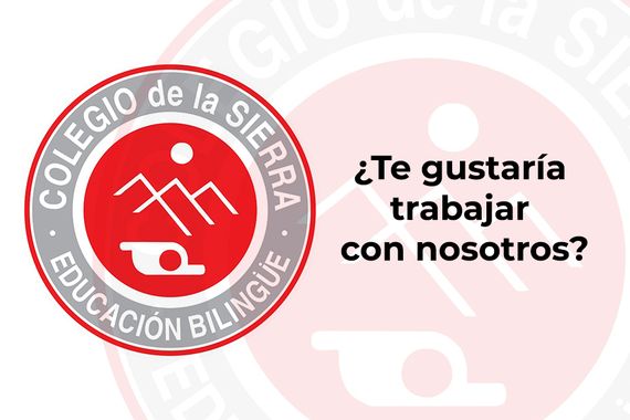 Se buscan maestros y profesores