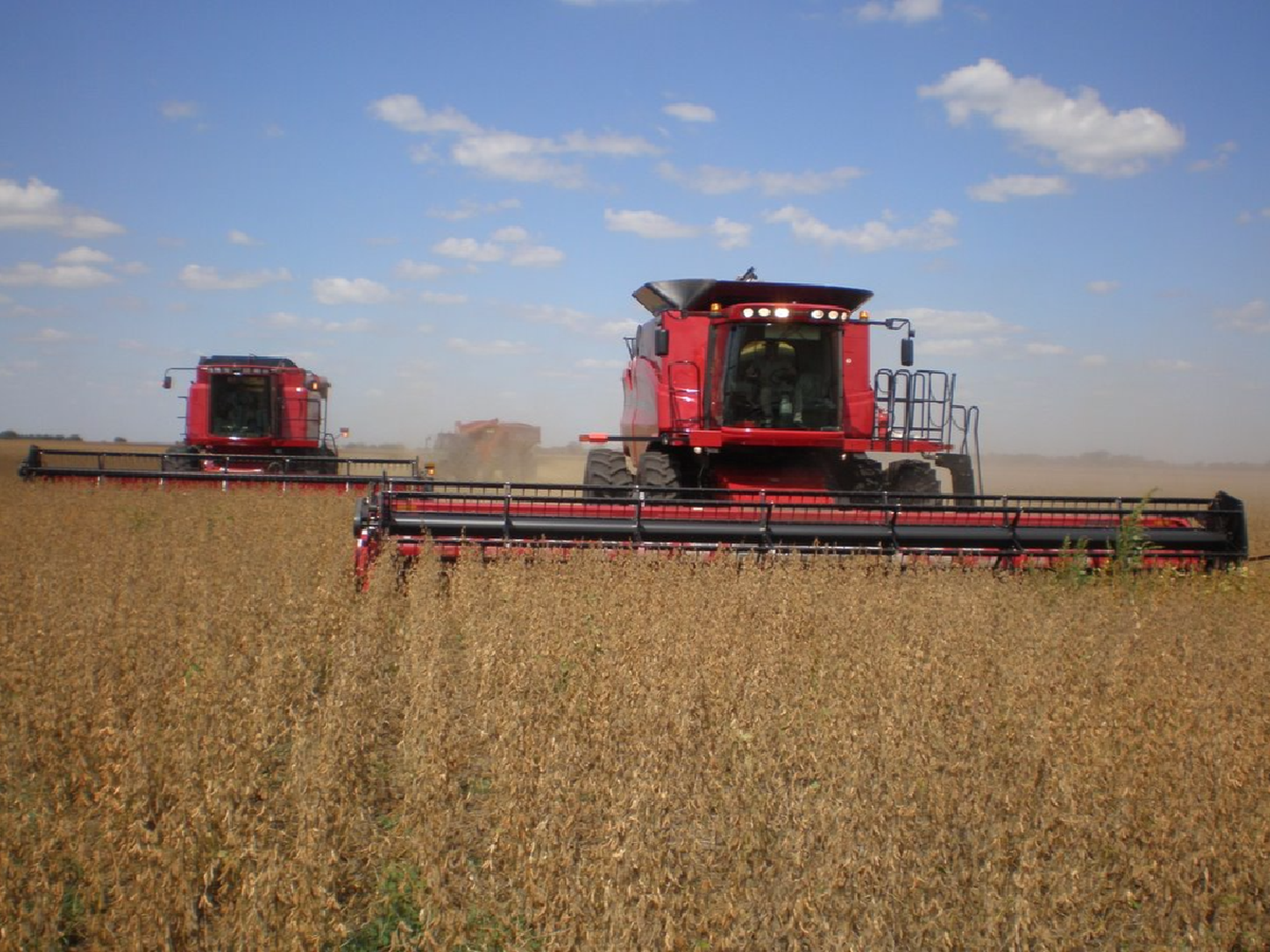 Con una súpercosecha, el agro aportará casi USD 10 millones a la economía de Córdoba 