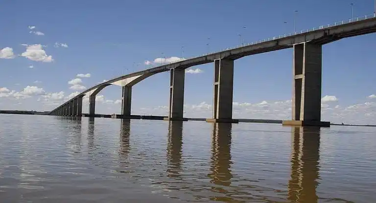 Analizaron un dorado del río Uruguay y encontraron 21 plaguicidas en su cuerpo