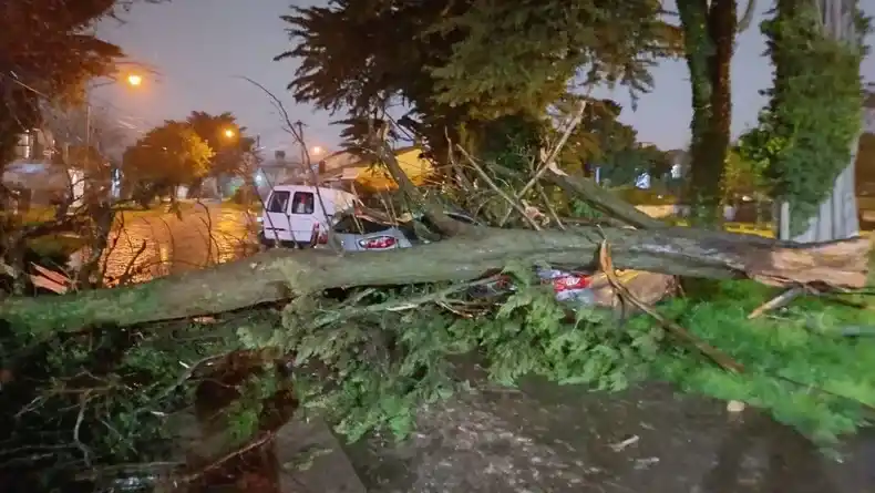 Temporal en Mar del Plata y Tandil: “daños de consideración” y cortes de suministro eléctrico