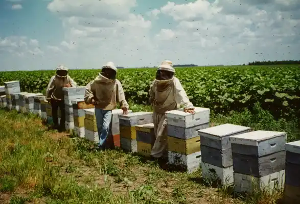 El Municipio impulsa políticas de producción con impacto local