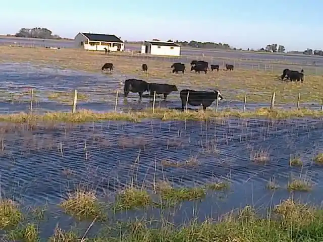 El Gobierno provincial decretó la emergencia agropecuaria 