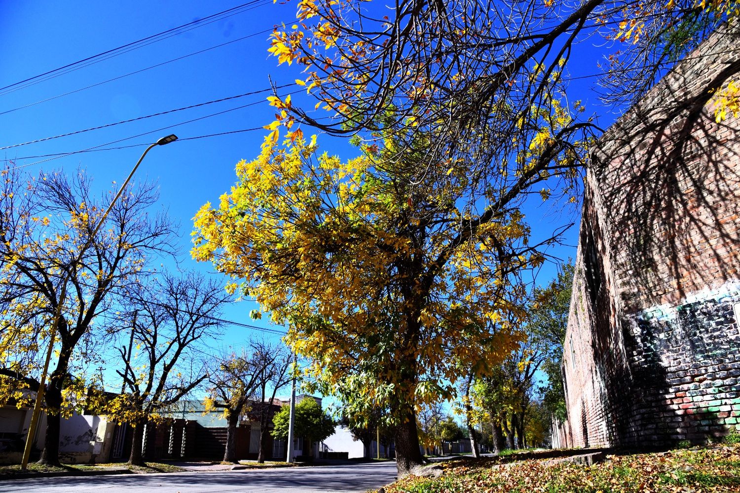 La temperatura máxima alcanzará los 17°C.