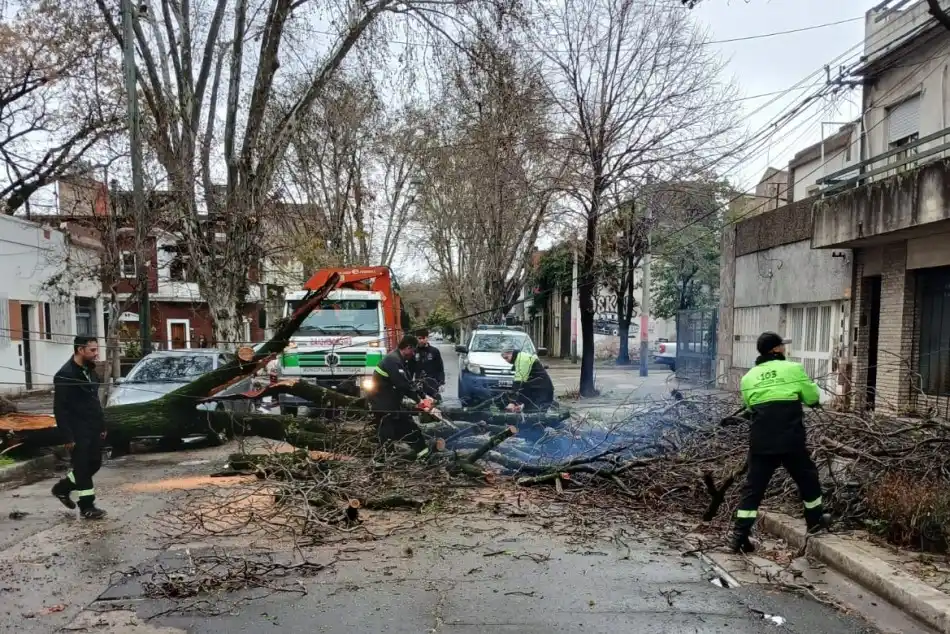 Cerca de 300 operarios atendieron anegamientos y árboles caídos en Rosario por el temporal