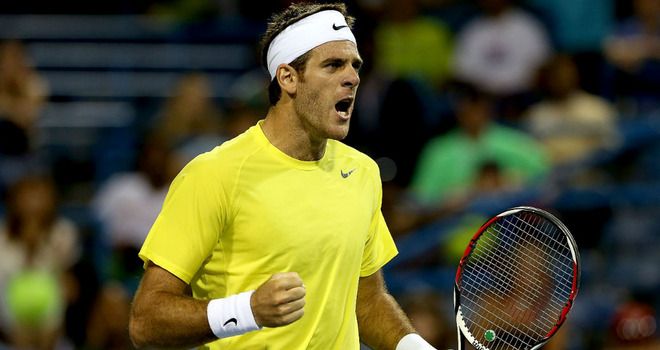 ATP 500 de Washington: Del Potro juega la final con Isner