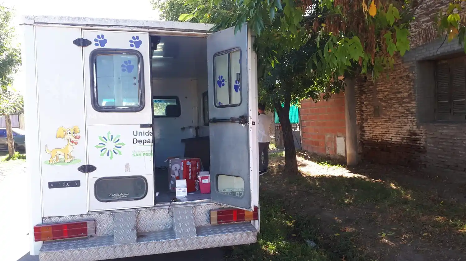 Murciélago con rabia: la vacunación de mascotas será este martes y obligatoria