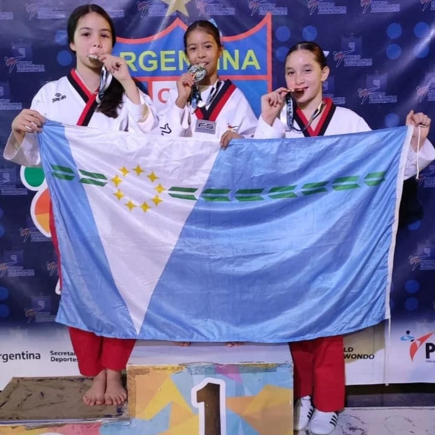 La delegación Formoseña de Taekwondo obtuvo 3 medallas de oro