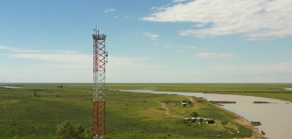 Ecocidio en islas: evalúan instalar un faro de conservación en la costa de San Pedro
