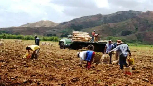 PRODUCCIÓN DEL CAMPO CORRE PELIGRO por falta de gasoil: «se viene el desabastecimiento»