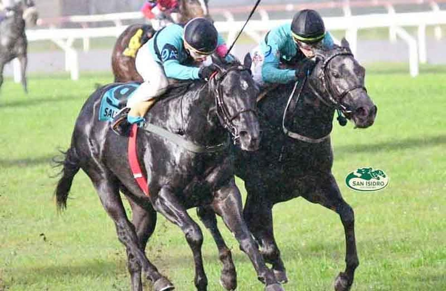 Miércoles 25: Actividad Hipódromo de San Isidro