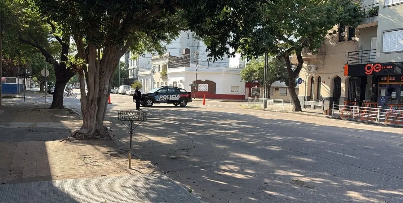El tránsito estuvo cortado por algunos minutos en el lugar del hecho.