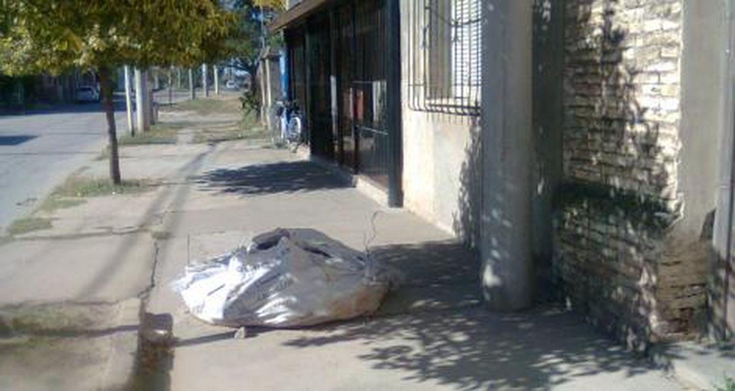 En medio de la vereda