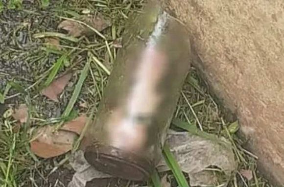 Insólito: cortaba el césped en el frente de una casa y encontró un pene dentro de un frasco