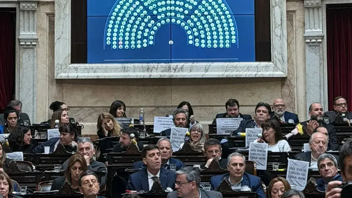 Ley de Discapacidad: uno por uno, cómo votaron los diputados bonaerenses y quiénes se abstuvieron