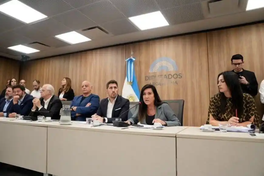 Laura Rodríguez Machado volvió a quedar al mando de Legislación Penal. Crédito: HCDN.