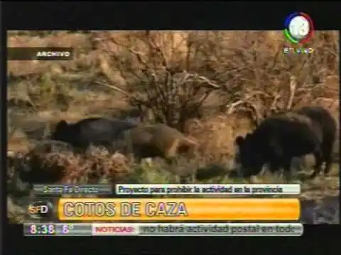 Se presentó un proyecto para prohibir los cotos de caza