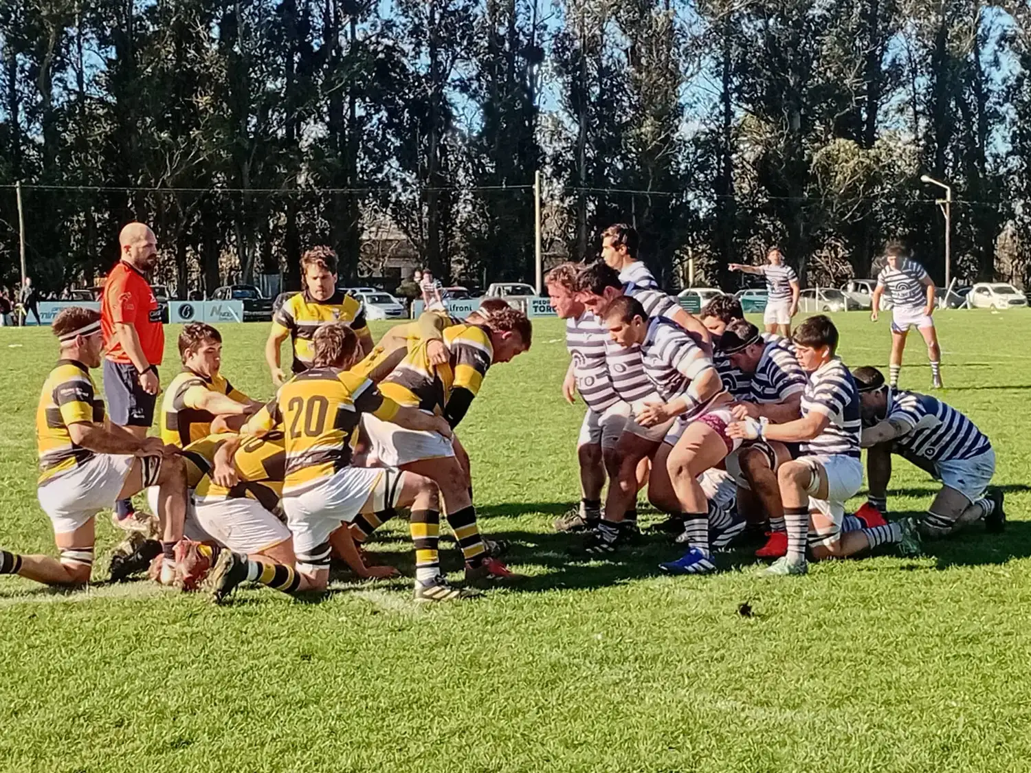Eco Rugby 11/8 - 1